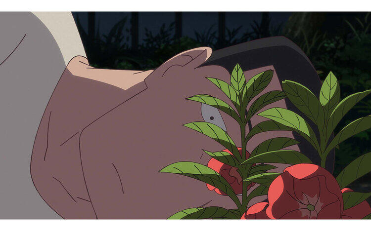 ホウセンカ11/7㊎～公開