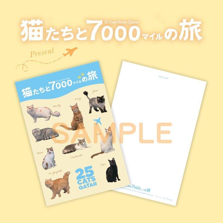 25cats_SAMPLE_2.jpg