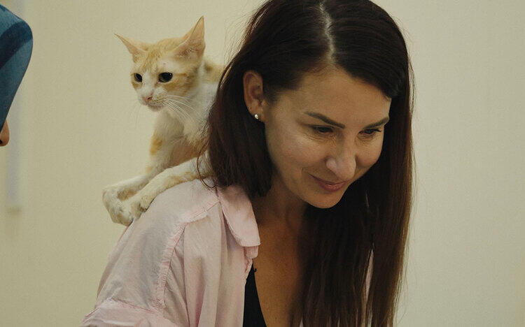 猫たちと7000マイルの旅上映中