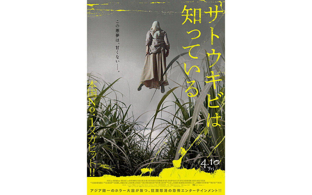 サトウキビは知っている